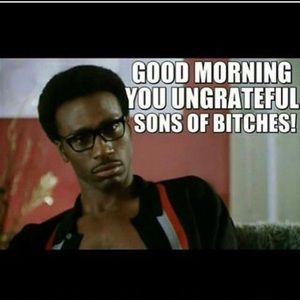 Meet your Posher, Lamon