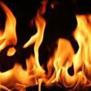 Meet your Posher, Devon