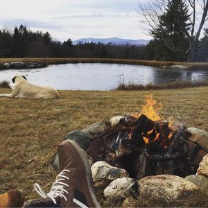 Meet your Posher, Ryan