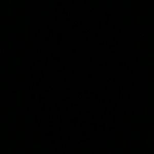 Meet your Posher, Dion