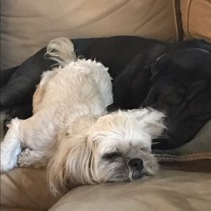 Meet your Posher, Tracy