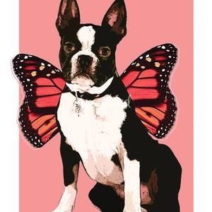 Meet your Posher, Missi