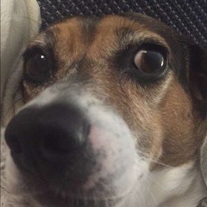 Meet your Posher, Jim