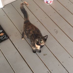 Meet your Posher, Olivia