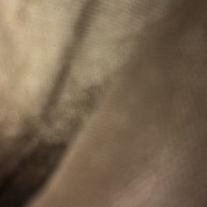 Meet your Posher, Wayne