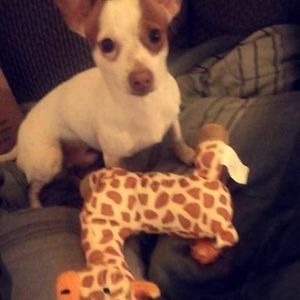 Meet your Posher, Tim