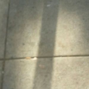 Meet your Posher, Terrell