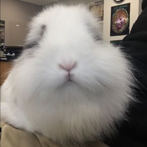 Meet your Posher, Bryce