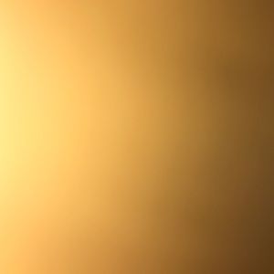 Meet your Posher, Kelby