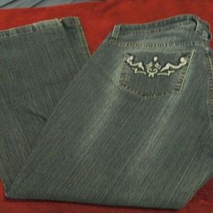 YMI brand jeans