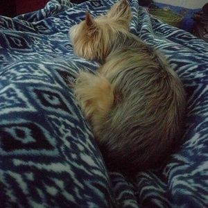 Meet your Posher, Juan