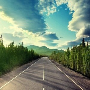 Meet your Posher, Bob