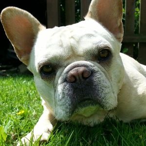 Meet your Posher, Tracey