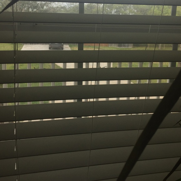 Meet your Posher, Chelsea