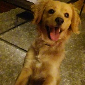 Meet your Posher, Korie