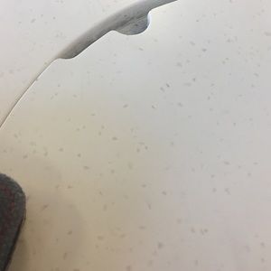 Meet your Posher, Cesar