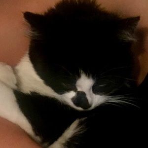 Meet your Posher, Sam