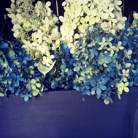 Meet your Posher, Joanna - Picture 1 of 1