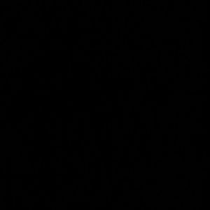 Meet your Posher, Alexia