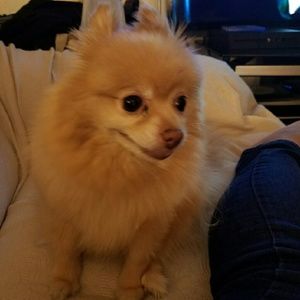 Meet your Posher, Mel