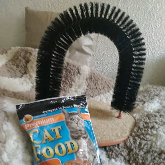Cat scratcher and food