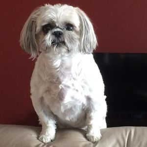 Meet your Posher, Becky