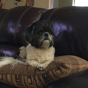 Meet your Posher, Lee ann