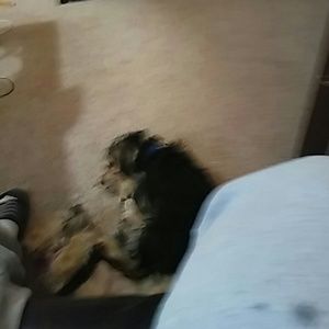 Meet your Posher, Yolanda