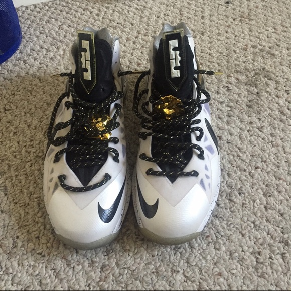 Lebron 10s