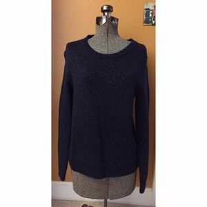 ⭐️NWT Metallic Navy Blue Sweater GAP M⭐️
