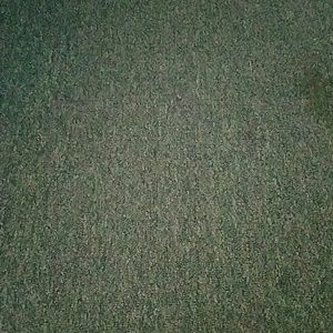 Meet your Posher, Ruthann