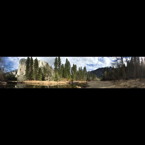 Meet your Posher, Dana - Picture 1 of 1