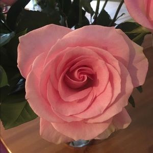 Meet your Posher, Annamaria