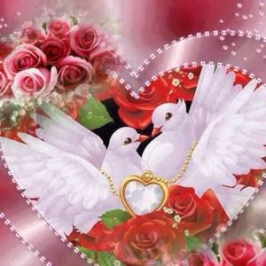 Meet your Posher, Abbie