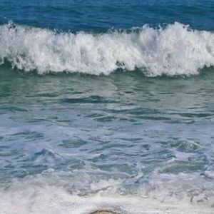 Meet your Posher, Melinda