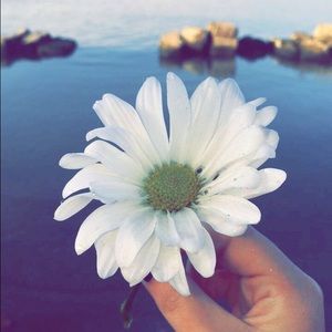 Meet your Posher, Lilly