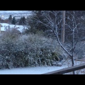 Meet your Posher, Steffanie