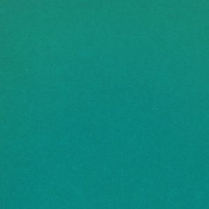 Meet your Posher, Tanaya