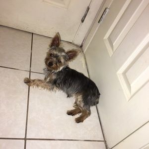 Meet your Posher, Nancy