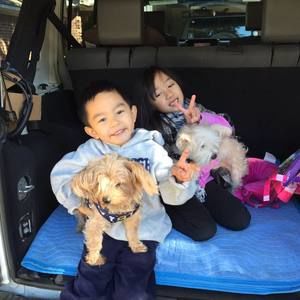 Meet your Posher, Jon royce