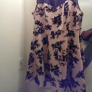 Casual Sheer Beige and Black dress