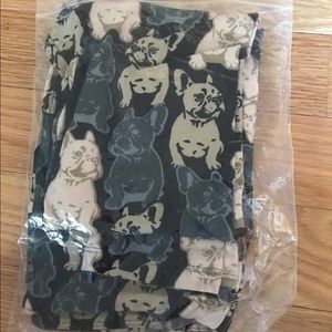 🦄 French bulldogs 🦄