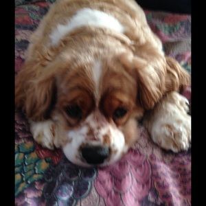 Meet your Posher, Lynn