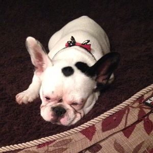 Meet your Posher, Kim