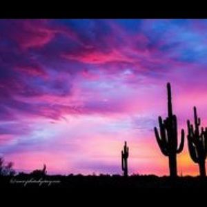 Meet your Posher, Abigail