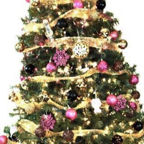 Meet your Posher, Keiara - Picture 1 of 1