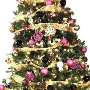 Meet your Posher, Keiara