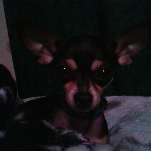 Meet your Posher, Bryan