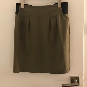 Express Skirt