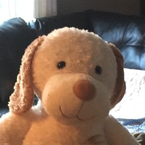 Meet your Posher, Dennis